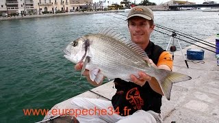 preview picture of video 'Pêche des grosses dorades de Sète par Europêche34'