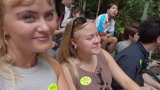 Rainforestation