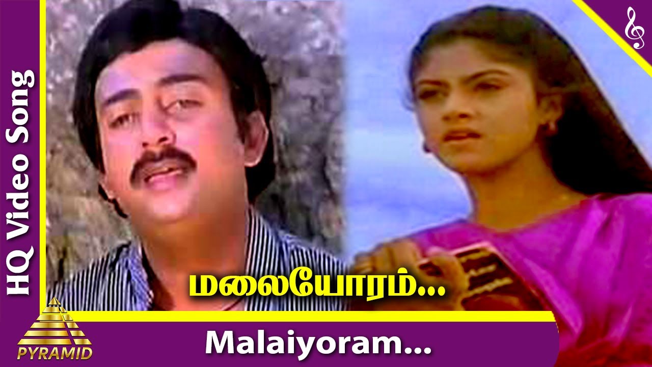 Malaiyoram Veesum Kaatru Song Lyrics | Paadu Nilave | S. P. Balasubrahmaniyam