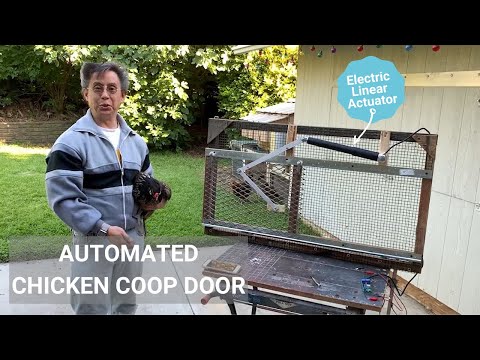 z wave dog door
