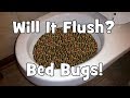 Will It Flush Bed Bugs