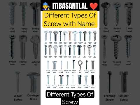 Different Types Of Screw