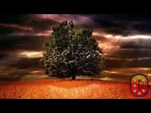 True Detective "Far from Any Road" by The Handsome Family.