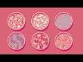 What causes yeast infections, and how do you get rid of them? - Liesbeth Demuyser