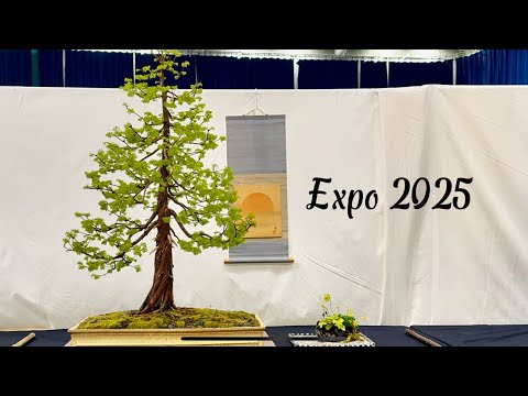 Expo bonsai show 2025
