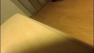 XXXTENTACION - SDS Snippet (Possible Snippet)