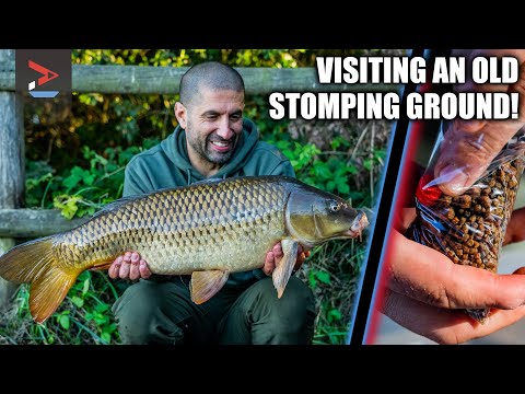 Club Lake Carp Fishing | Ali Hamidi Carp Fishing | One More Cast