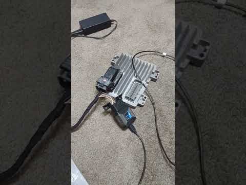 Gen 4 LS bench harness! Can make a diy video if anyone is interested