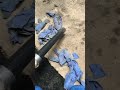 Sucking Up Gloves With Dyson DC04 Absolute Plus