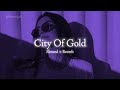 City Of Gold Slowed Reverb Nirvair Pannu Punjabi Song Lofi Tere Vich Vasdi Jaan Jatt Di