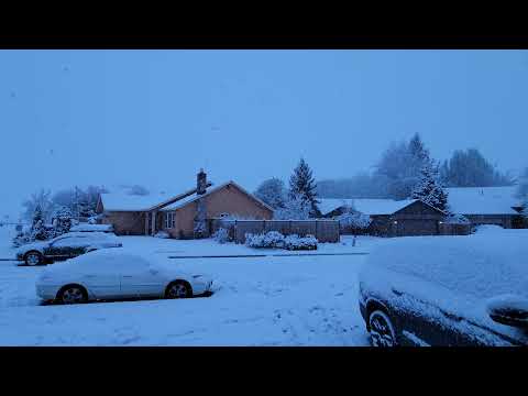 Eugene, Oregon snow day. Part1