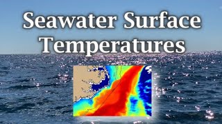 Sea Surface Temperatures Year Round Off The Entire North Carolina Coast