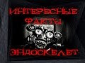 Five Nights At Freddy's интересные факты Эндоскелет 