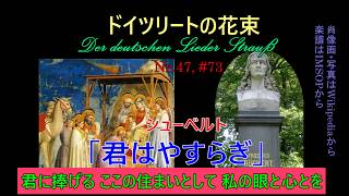 Download lagu 47, リュッケルト「君はやすらぎ」(シューベルト）#73（260419） mp3