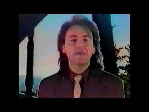 NEŠA MITIĆ - VLAJNICE