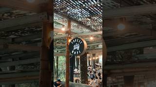 Download lagu Forest kopi Batang, Jawa Tengah mp3