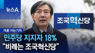 민주당 지지자 18% “비례는 조국혁신당”