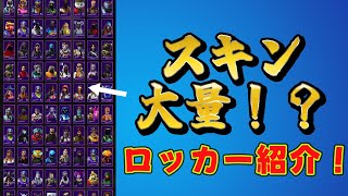 【フォートナイト】大量スキン⁉社会人のロッカー紹介！