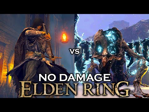 Samurai Vs Death Rite Bird (Consecrated Snowfield) | No Damage | ELDEN RING #156