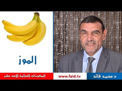 Dr faid | الموز| الفواكه الرطبة | المكونات الغذائية الأحد عشر | دكتور محمد فائد