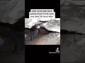 Photos With Disturbing Backstories | John Edward Jones Nutty Putty Cave
