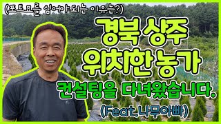 초보농사꾼들을 위한 나무아빠의 컨설팅/포트묘의 장점 전격공개/Daelim Nursery