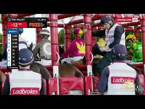 Regal Bloodstock - Regal Azmon win Mooney Valley