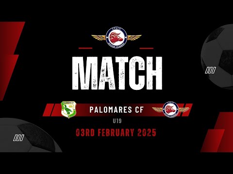 GAME 032 - Highlights Palomares CF U19 - Spain Soccer Academy