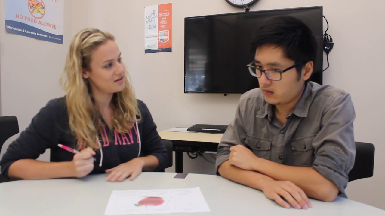 Semantic Feature Analysis Demonstration