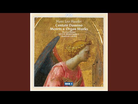 Domine, Dominus noster à 12