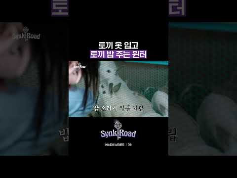 원터 토끼 바아압 원터 토끼 바아압