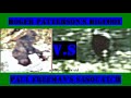 Patterson S Bigfoot Patty VS Freeman S Sasquatch Paula