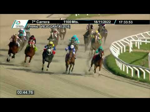 221118 c07 - OCTUBRE - HIPODROMO LAS PIEDRAS