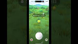 ポケモンgo クルミルの色違いカラー #ポケモンgo #ポケモン #クルミル
