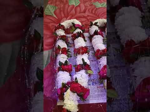 Jai mala (Tirath flower rewa)