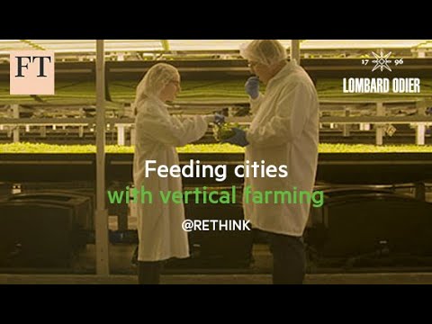 付費文章 - 垂直農業為城市提供食物 - 可持續發展的思考 (Paid Post - Feeding cities with vertical farming | Rethink Sustainability)