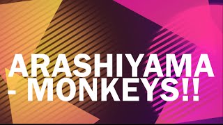 preview picture of video 'Arashiyama- Monkey Park!'