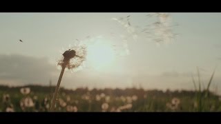 Vertrouwen en samenwerken