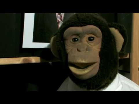 Alejandro Fuentes Bergström - Om El Tojoni och att skärpa sig