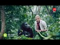 رامز جلال أغنية تتر رامز في الشلال كاملة Ramez Galal