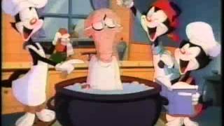 Cartoon Network animaniacs commercial