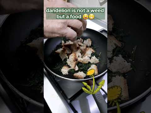 fried dandelion😆🌼🍽