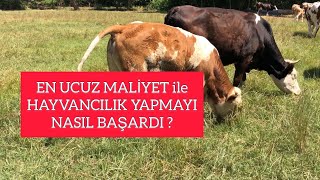 UCUZ MALİYET ile HAYVANCILIK NASIL YAPILIR ? #tarım #hayvancılık #ucuzhayvanbesl
