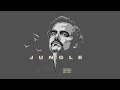 Migos JUNGLE Narcos Remix