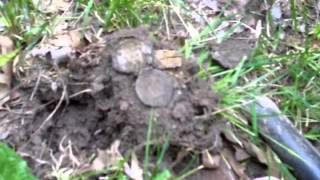 Metal Detecting a Boy Scout Camp Finds Lots of Silver Treasure