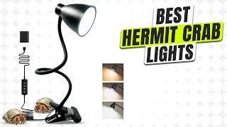 3 BEST Hermit Crab Light - Hurry, They Need 12 Hours of Light Daily!