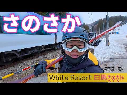 Video: White Resort白馬さのさか【 Slope Report at HAKUBA SANOSAKA】