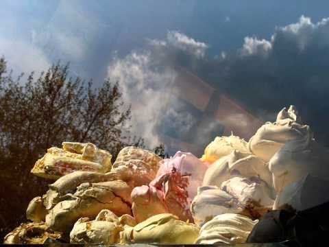 Fred Myrow - Can I do something for you