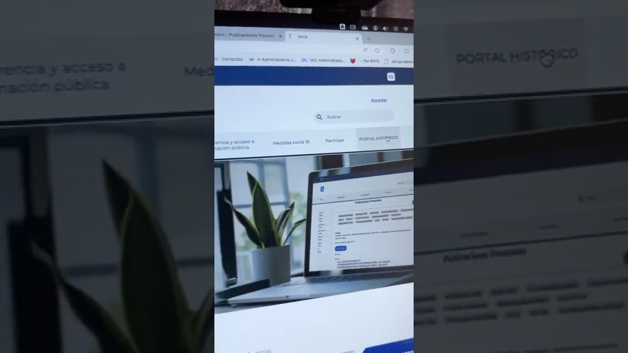 How to consult the previous portal of the Judicial Branch #procedurallaw #legalstudy #law