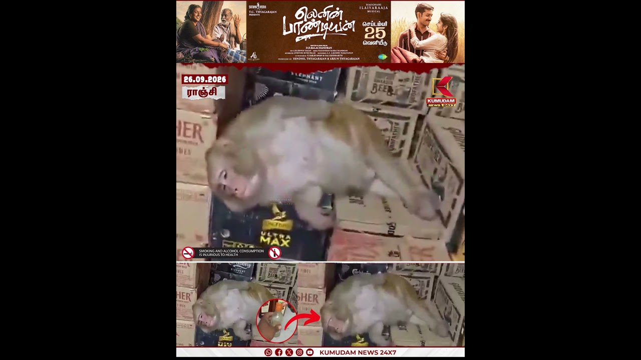 Money Liquor | குடித்துவிட்டு கடையிலே மட்டையான குரங்கு இணையத்தில் பரவும் வீடியோ..!